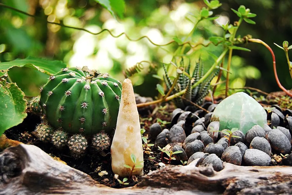 Mi Sagrado Eco Boutique Hotel Tulum
