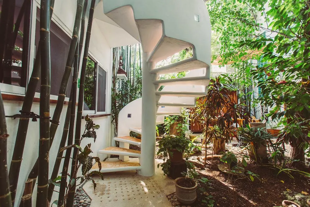 Mi Sagrado Eco Boutique Hotel Tulum Mexico