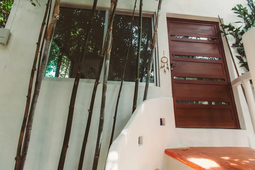 Mi Sagrado Eco Boutique Hotel Tulum Mexico