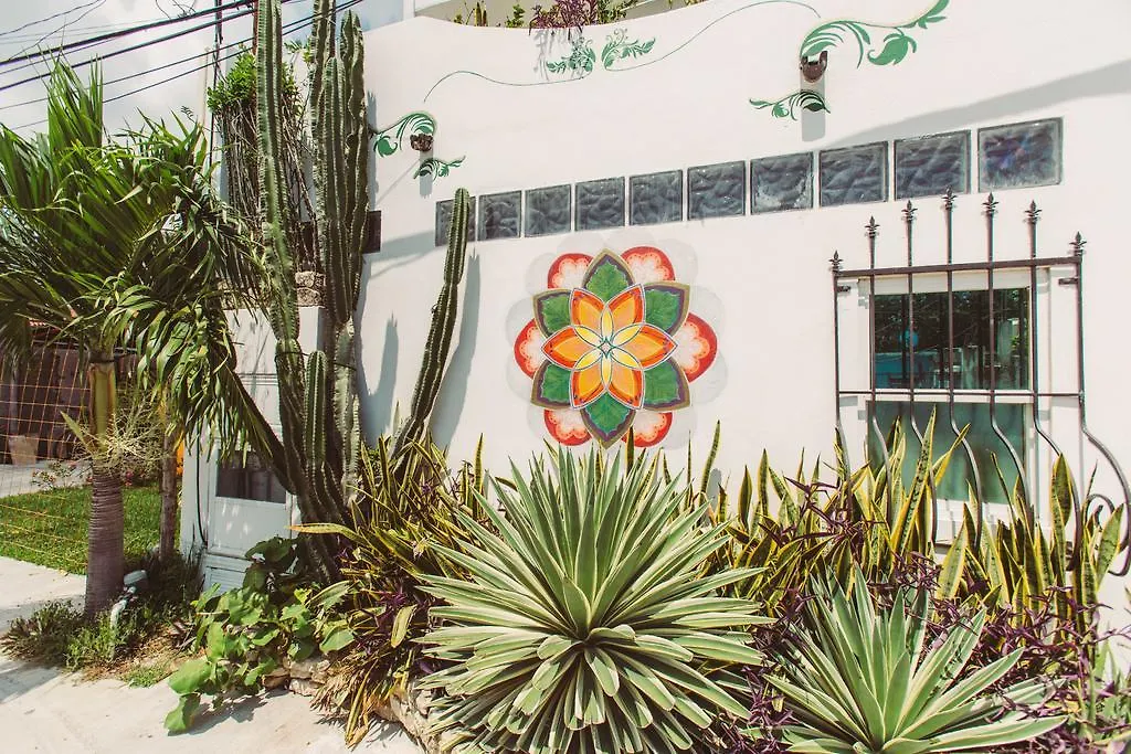 Mi Sagrado Eco Boutique Hotel Tulum Mexico